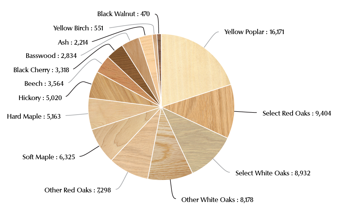 Hardwood Sawtimber Distribution by Species Group - Pie Chart